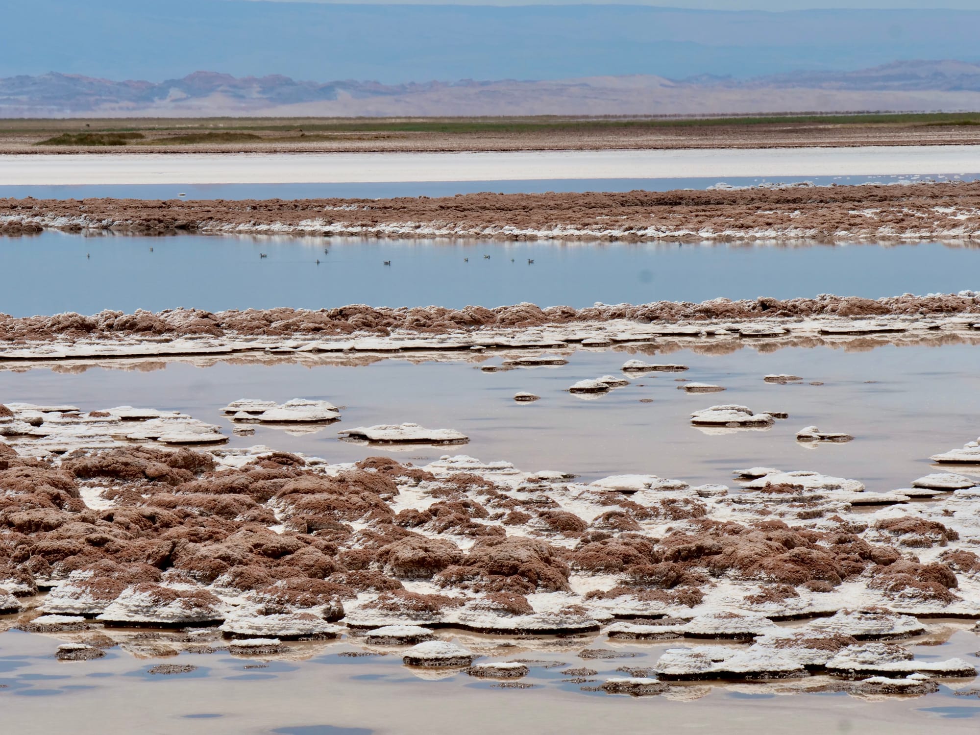 Rain in Atacama Desert
