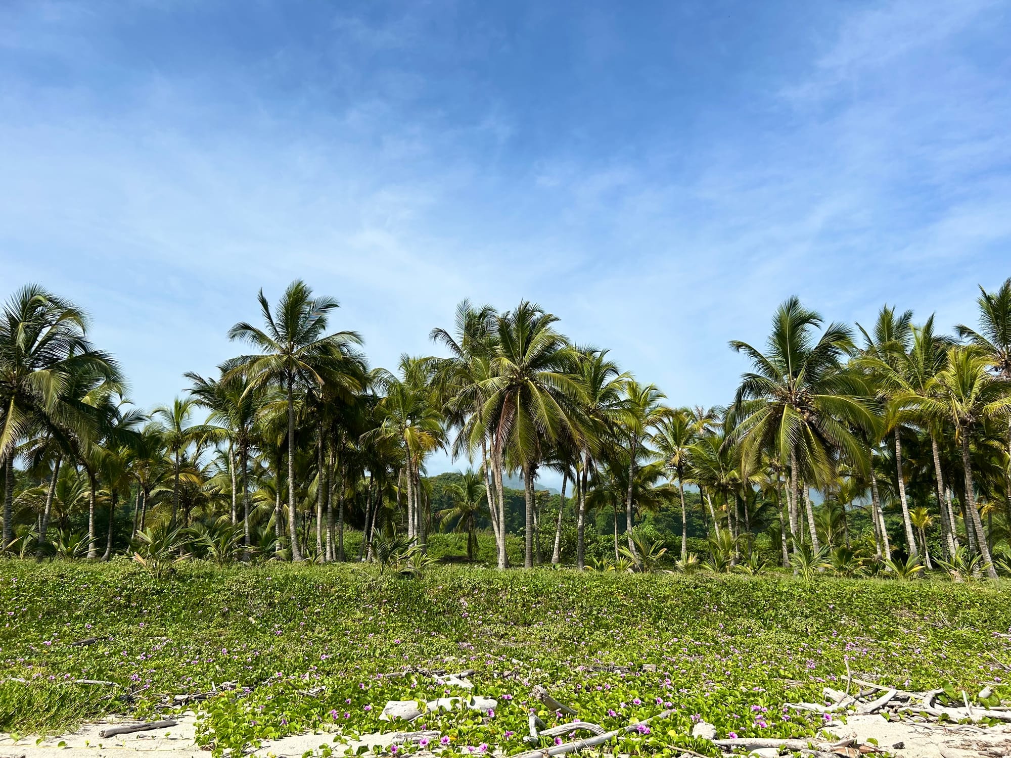 The Coast of Colombia