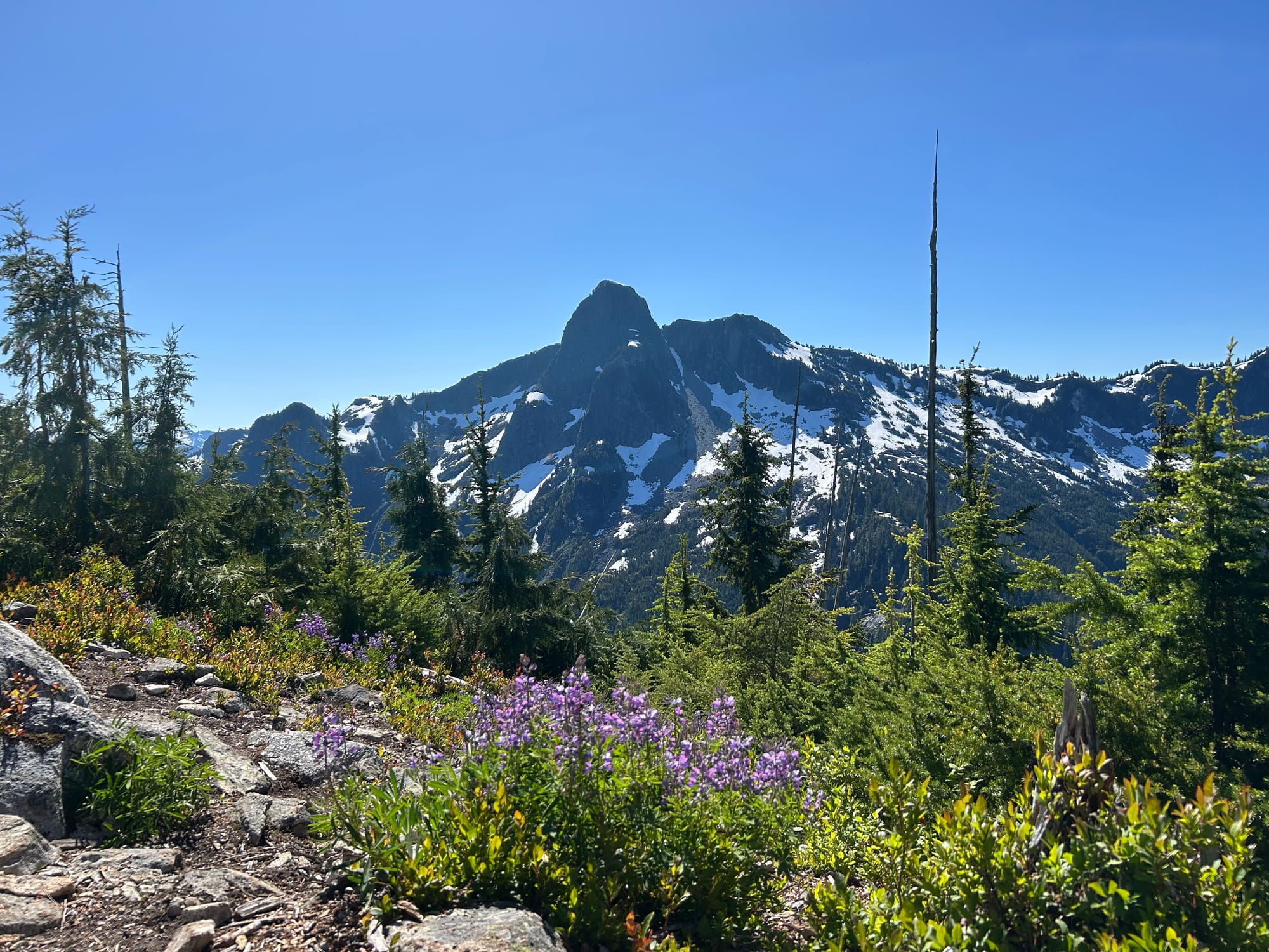 Two Months Living in North Vancouver